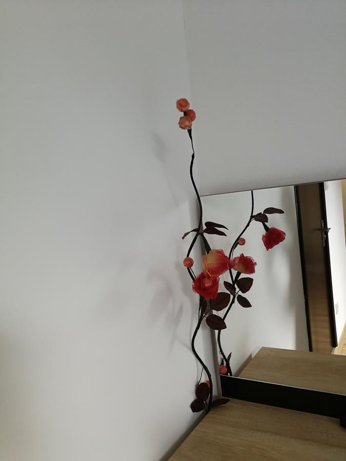 House Apartment Minerilor Клуж-Напока Екстериор снимка