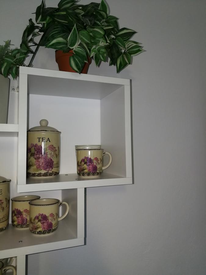 House Apartment Minerilor Клуж-Напока Екстериор снимка