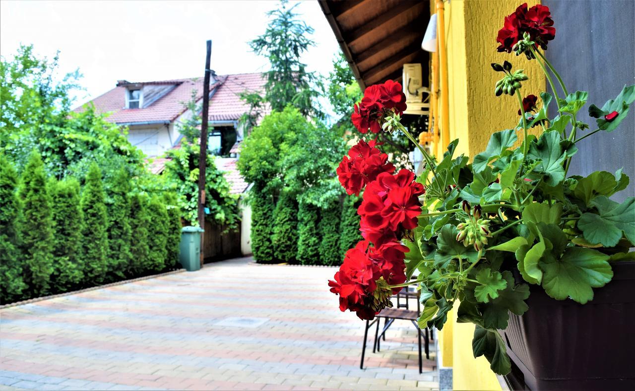 House Apartment Minerilor Клуж-Напока Екстериор снимка