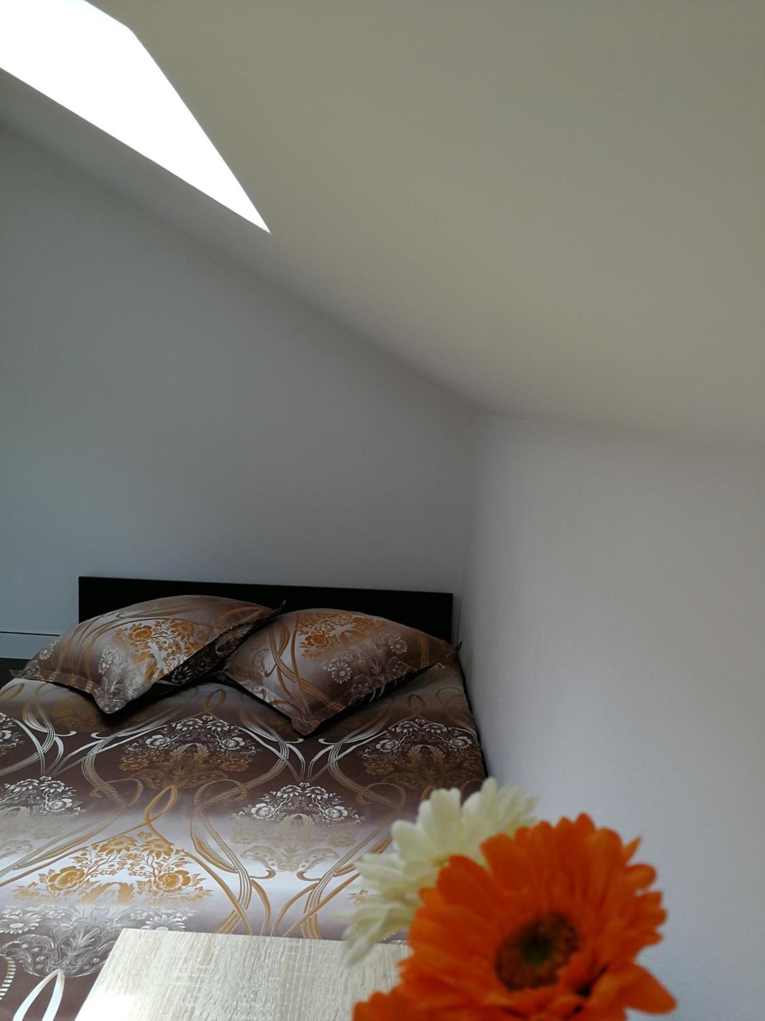 House Apartment Minerilor Клуж-Напока Екстериор снимка