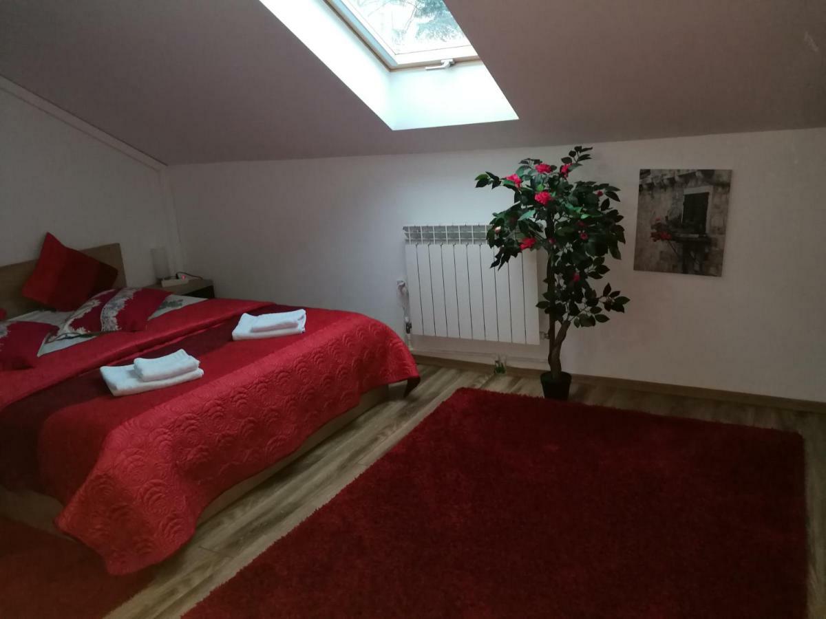 House Apartment Minerilor Клуж-Напока Екстериор снимка